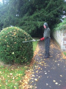 Neil trimming yew "puddings" (in the rain!)