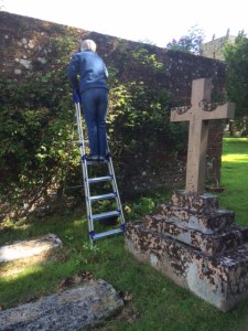 Christine training roses